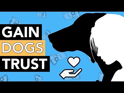How to Make a Dog Trust You!
