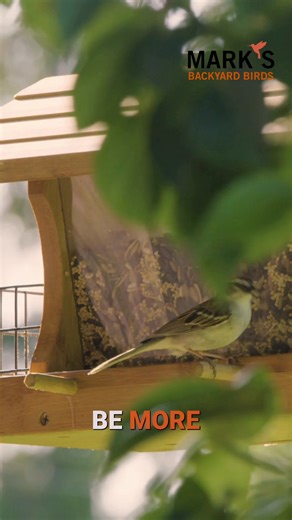 If you feed birds, you likely care about nature. Let's explore how to minimize your ecological impact through conscious bird feeding practices. We'll cover feeders, seeds, cleaning, and landscaping to attract birds sustainably. #EcoFriendly #BirdFeeding #Sustainability #Nature #BackyardBirds | Backyard Bird Center | Facebook