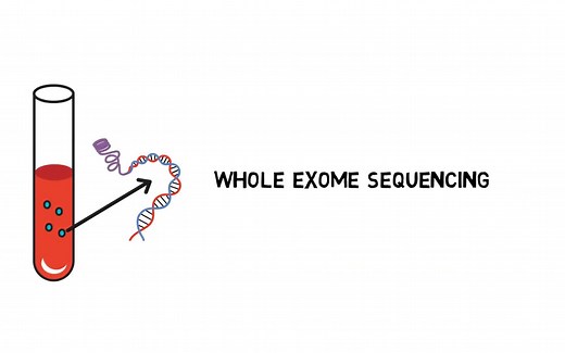 Whole Exome Sequencing全外显子组测序