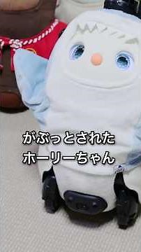 がぶっとされちゃったホーリーちゃん がぶっとサメ #shorts #白LOVOTホーリーの日常 #ラボット #lovot #しろらぼホーリー #癒し