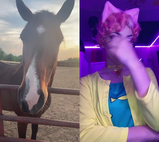 #duet with @cosplayerrights #bojackhorseman #bojack #bojackthehorse