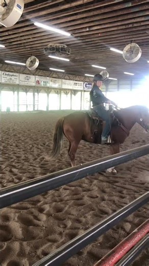 Me and Asher’s Ranch Riding pattern! #mmhstripleblikeawildfire #mustang #fun #ranch #fyp