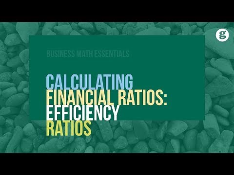 Calculating Financial Ratios Efficiency Ratios