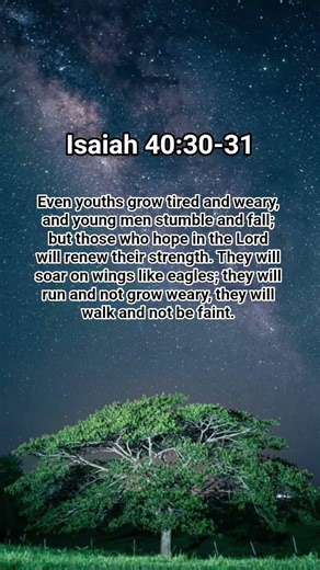 Isaiah 40:30-31