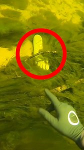 30M views · 263K reactions | Best finds Of All Time!  | D ALL MY D | Facebook