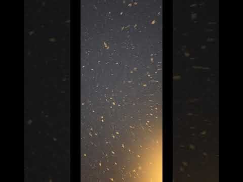 Relaxing Snow Fall ASMR for Sleep