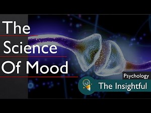 Neurotransmitters Basics | The Insightful | Psychology