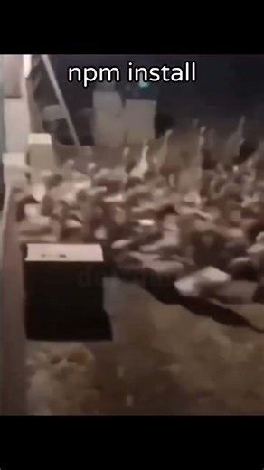 run npm install and see 👀