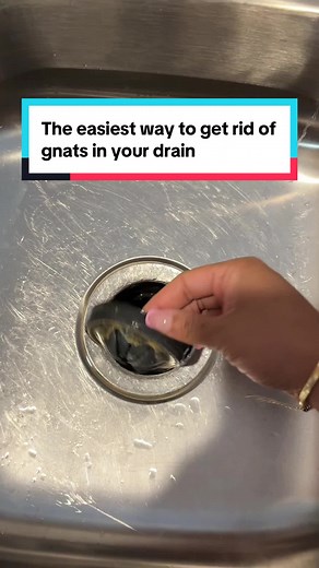 Easiest Way to Eliminate Drain Gnats