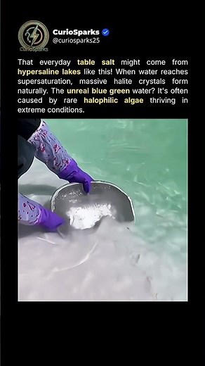 The Strange Science of Natural Salt Crystals #shorts