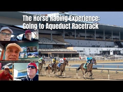 The Horse Racing Experience: Going to Aqueduct Racetrack