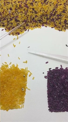 Crush the Factory Interview: Fast Track to Success