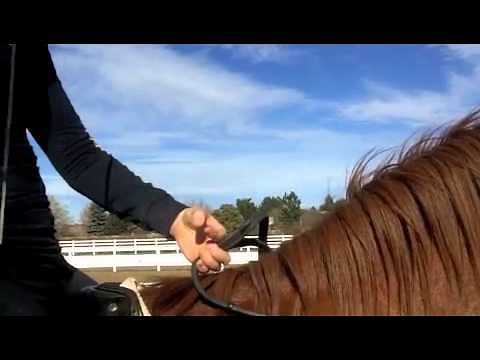 How to switch hands with a whip