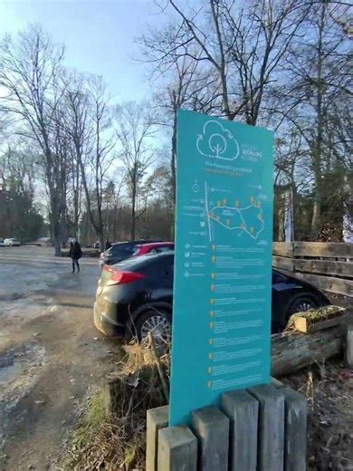 POV Walk — Grunewald Forest & Teufelsberg Access, Berlin