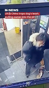 483K views · 1.3K reactions | A small mistake can lead to a big scare, so hold onto your dog’s leash when using a lift. | Mustsharenews.com | Facebook