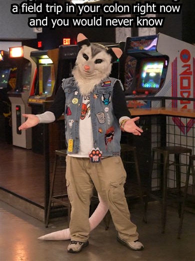 Join the Furry Adventure on the Magic School Bus!