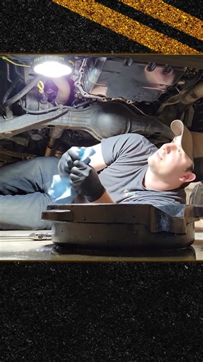 Haynes Manuals on Reels