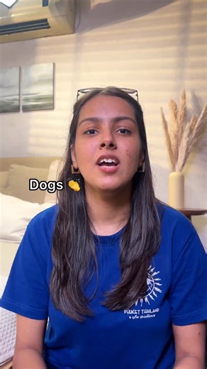 6.1K views · 35 reactions | Comment below for product links - it’s time your pet gets to slay too! 李 Shop printed and embroidered sweatshirts, t-shirts and hoodies for the most favorite child of the house! Live Now | huft.com | HUFT stores pan India #HUFT #HeadsUpForTails #MakeItMagical #Winter2025 [Dog hoodie, Dog Sweatshirt, Cats, Cat Clothes, Cat Sweater, Pets, Pet Parents, Winter wear for pets] | Heads Up For Tails | Facebook