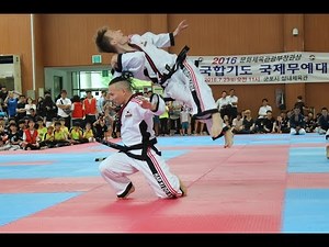 Hapkido Austria (합기도 오스트리아) - International Championship Seoul 2016