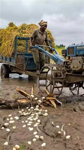 Tractor Hits Obstacle — Wildlife Explodes Out