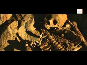 DRACHENKRIEGER - DAS GEHEIMNIS DER WIKINGER Trailer HD 1080p german/deutsch