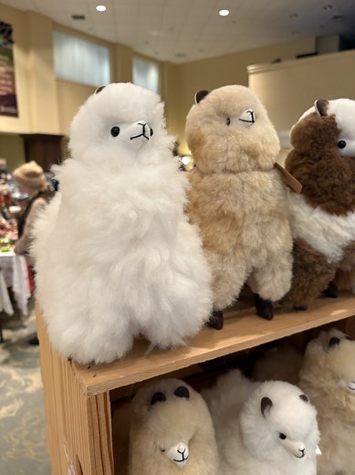 1K views · 15 reactions | Souderton Mennonite Homes on Reels | Facebook