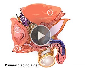 Health Animation - Know The Urinary System