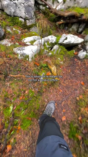 Instagram video by Survival Dan • Dec 16, 2024 at 11:29 AM