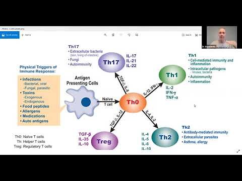 TH1 vs TH2 immune responses