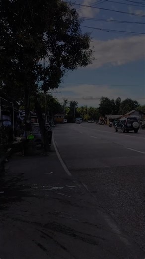 P&O Transportation: Hyundai Universe Xpress Prime