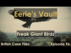 Freak Giant Bird Sightings in the UK: Britain’s Forgotten Thunderbirds [Eerie's Vault Episode #96]