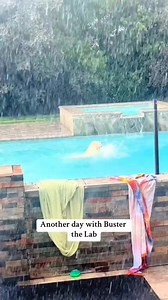 24K views · 1.6K reactions | Another day with buster the lab. | Buster's World | Facebook