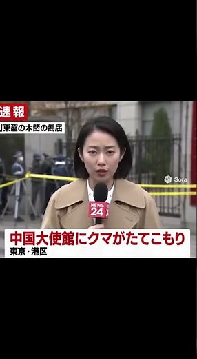 “在日本的你们这些家伙，一个都别想站着回去。”(日本にいる、お前たちの仲間を全員ぶちのめす)“把这个国家里的入侵者全部打倒。”(この国にいる侵入者を全員ぶちのめす)