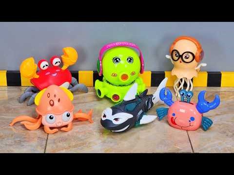 Robot Octopus Gathered, Robot Squid, Robot Crab, Robot Shark, Robot Jellyfish, Robot Toys.