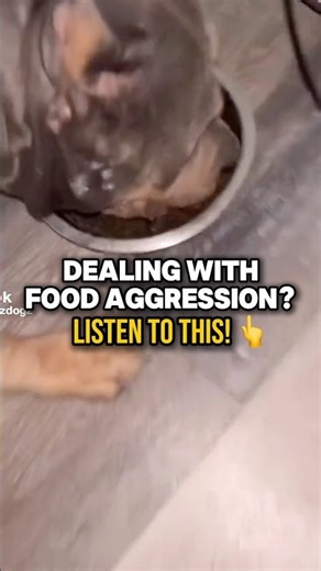 How to Stop Food Aggression #dogs