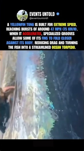 The Hidden Fins That Help Tuna Reach 47 MPH #animals #shorts
