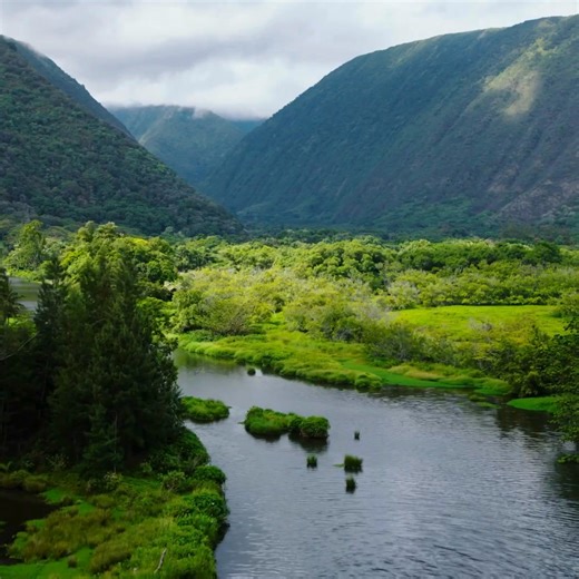 Pre-pay for your island escape to enjoy up to 25% off room rates for spring travel. Future you says mahalo! | Aqua-Aston Hospitality