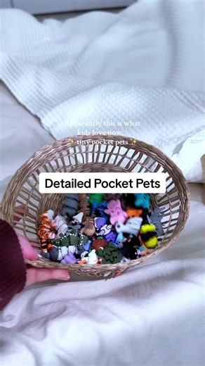 These replaced those plastic toy animals 🙃 #pocketpets #fidgettoy #kidstoy