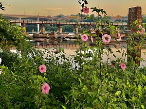 Science in the Park: Plants - Friends of James River Park