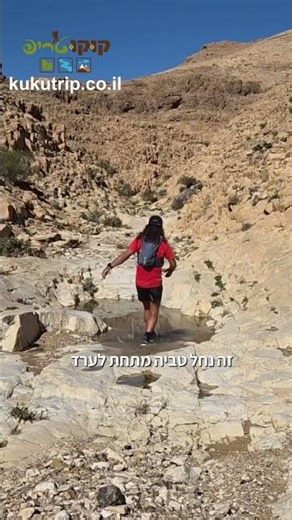 קוקו 🐓 טריפ בנחל המדברי שמלא במים, נחל טביה מתחת לערד, איזו חגיגה, פרטים בתאור