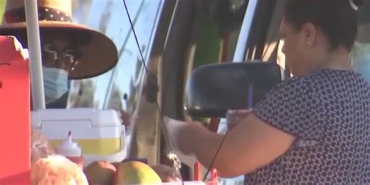 Las Vegas City Council approves new vendor license