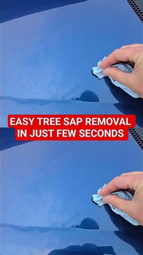 QUICK & EASY TREE SAP REMOVAL #automobile #diy #mechanic #tips #detailing