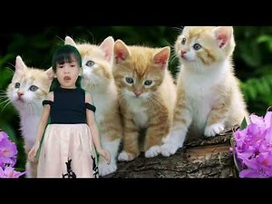 All Things Bright and Beautiful Poem with Actions (Poem with Action)