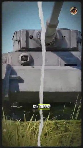 ¿Por qué los tanques alemanes son grises?