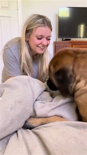 Can I Beat My GIANT Puppy At Hungry Hippo!! #dog #dogs #cutedog