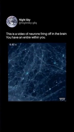 This is a video of neurons firing off in the brain You have an entire within you.