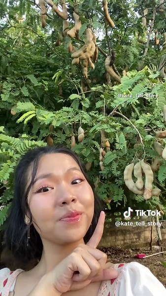 ต้นมะขามและการเติบโตในชีวิตเคท
