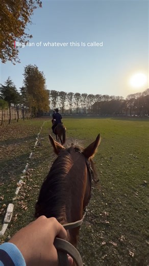 Burn Hall on Instagram: "🐎 An odyssey in every stride.. ARMY BURN HALL COLLEGE FOR BOYS, Abbottabad #burnhall #armyburnhallcollegeboys #abbottabad #horseandsaddleclubburnhall #horselove #fyp #hallians #aesthetic #naturephotography"