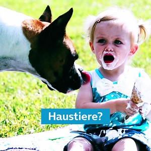 So schnell kann‘s gehen mit dem Hundeleben. Gäbe es doch für alles eine kostenlose Testkarte. Was würdest du testen?​ Weitere Details zur o2 Testkarte: - o2 Netz kostenlos und unverbindlich testen - Unbegrenztes Highspeed-Datenvolumen im Inland - Allnet-Flat Telefon- & SMS-Flat in alle deutsche Netze - Kostenlose SIM-Karte ohne Anschlusspreis & Grundgebühr - Keine Kündigung erforderlich: Laufzeit 30 Tage, Tarif endet automatisch . . 1. o2 Testkarte ist für Neukunden (ohne o2 Mobilfunkvertrag in 