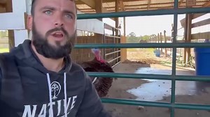 Cops - quacks edition | Shirtless Jake's Homestead